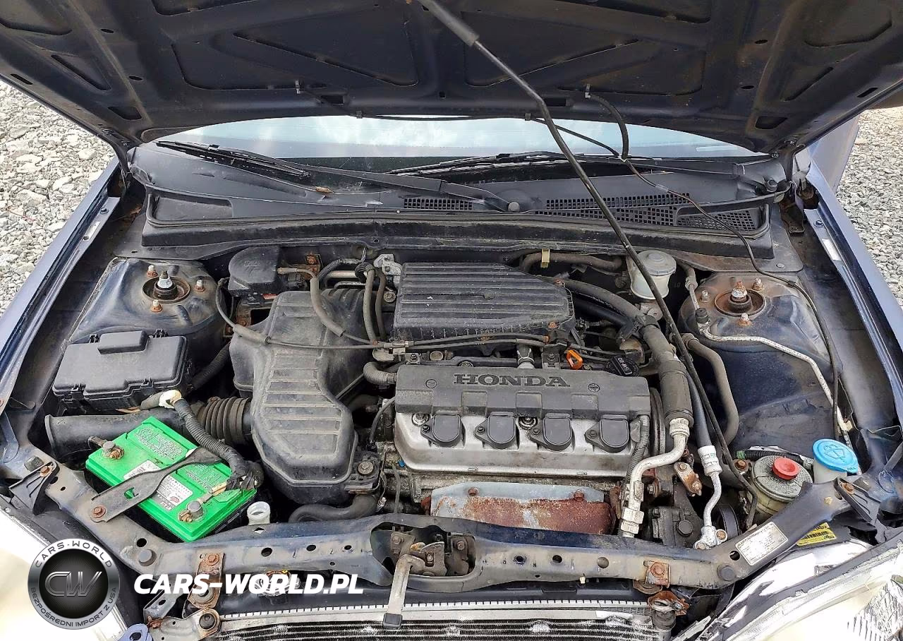 2003 Honda Civic Lx VIN:2HGES16553H555262 - 11