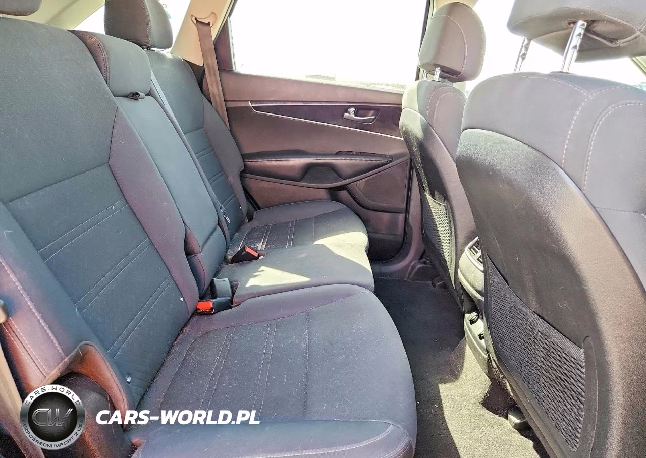 2017 Kia Sorento Lx VIN:5XYPGDA37HG277857 - 10