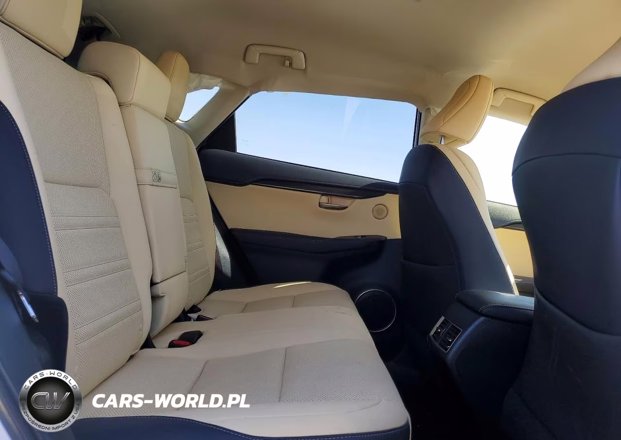 2021 Lexus Nx 300 Base VIN:JTJDARBZ0M5023394 - 11