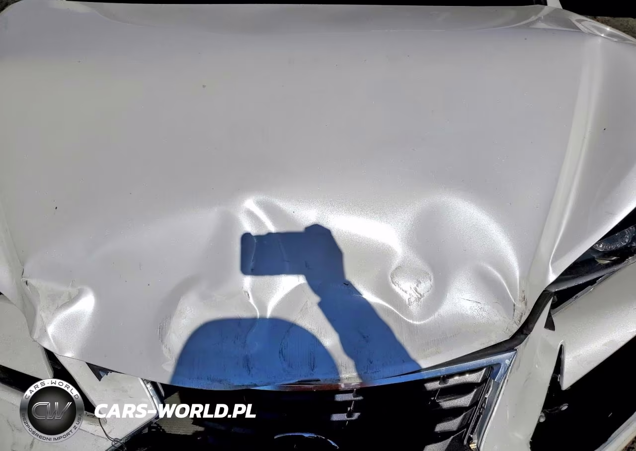 2021 Lexus Nx 300 Base VIN:JTJDARBZ0M5023394 - 12