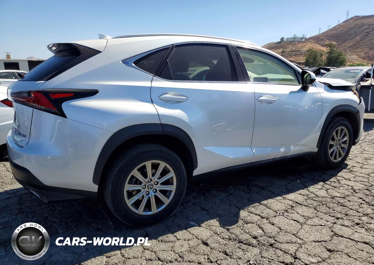 2021 Lexus Nx 300 Base VIN:JTJDARBZ0M5023394 - 3