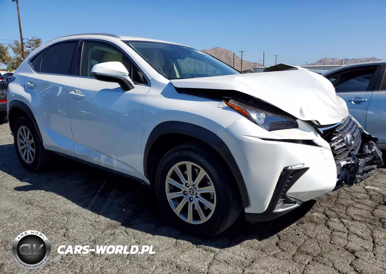 2021 Lexus Nx 300 Base VIN:JTJDARBZ0M5023394 - 4