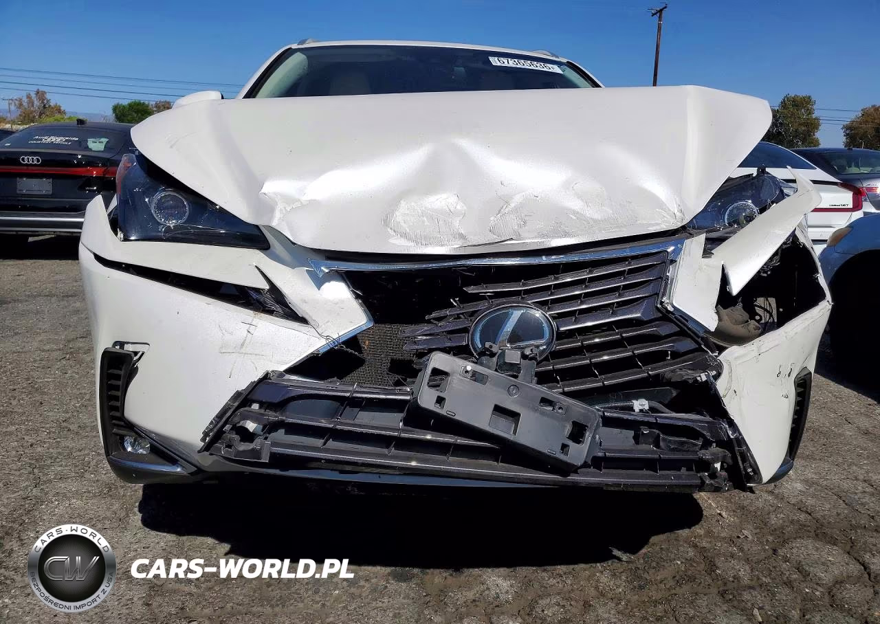 2021 Lexus Nx 300 Base VIN:JTJDARBZ0M5023394 - 5