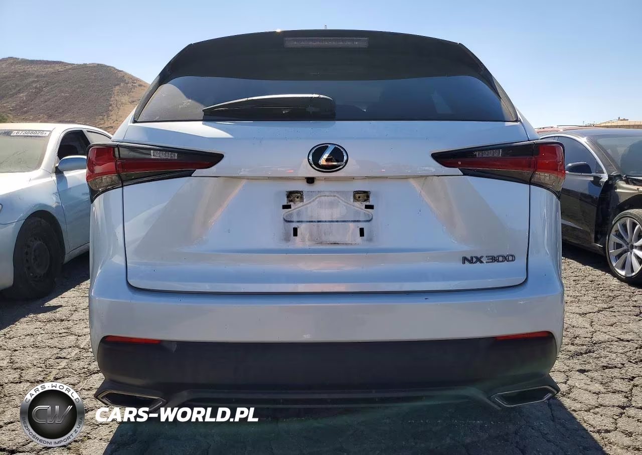 2021 Lexus Nx 300 Base VIN:JTJDARBZ0M5023394 - 6