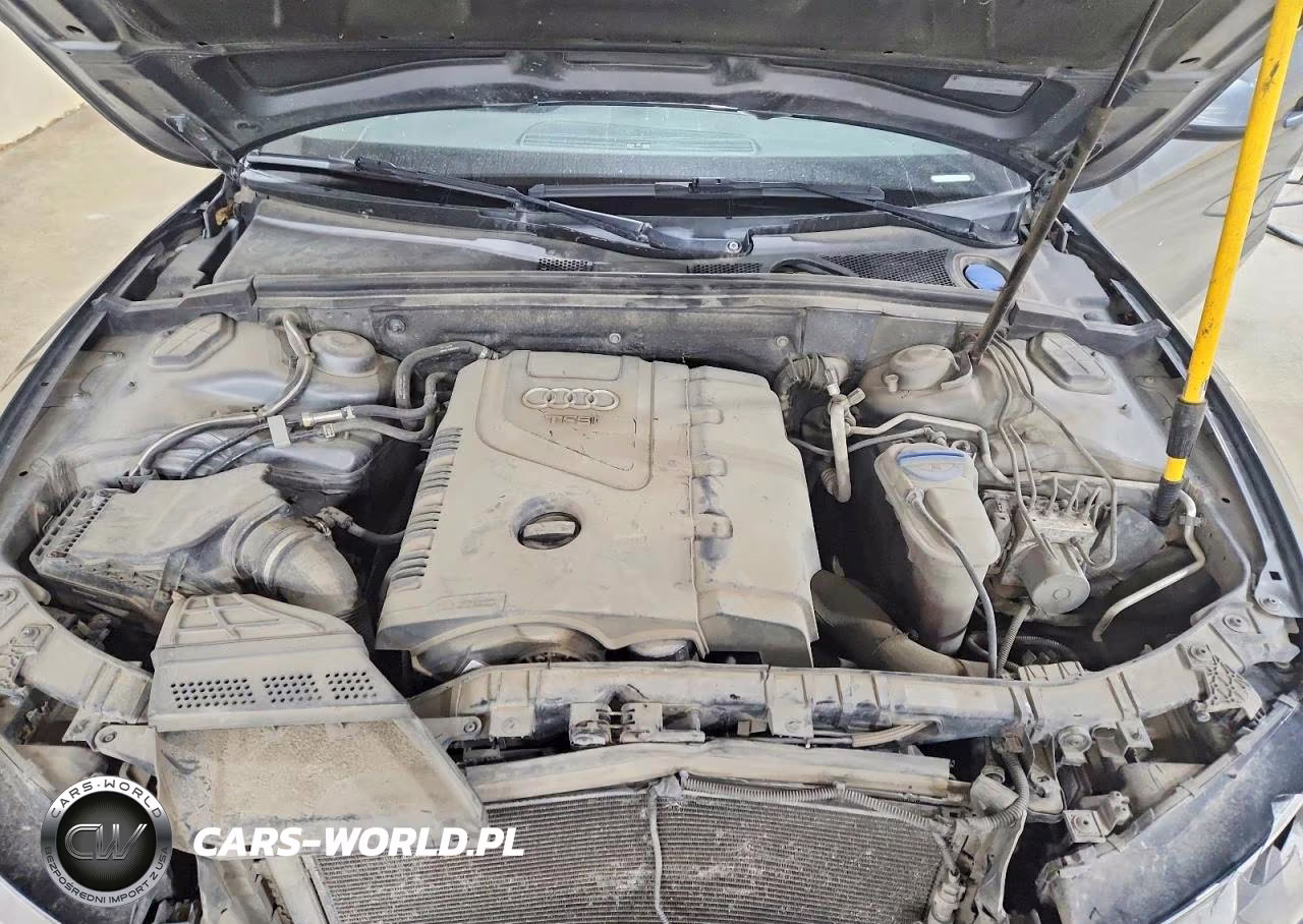 2014 Audi A5 Premium Plus VIN:WAULFAFR1EA039458 - 11