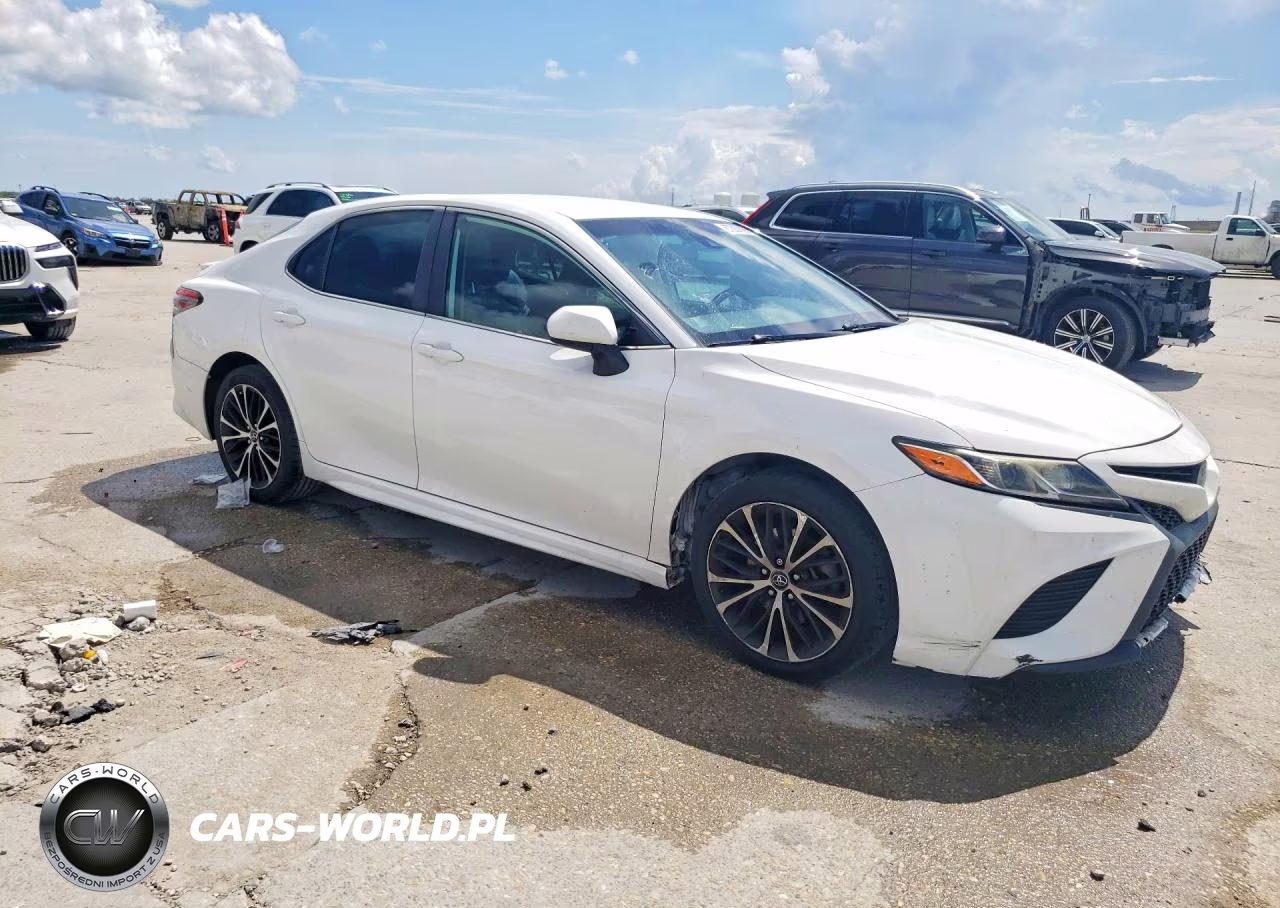 2019 Toyota Camry Se VIN:4T1B11HKXKU193170 - 4