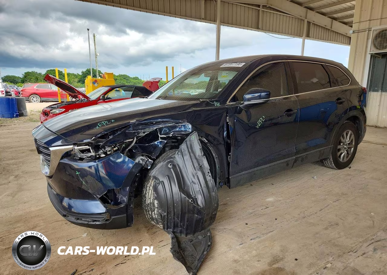 2019 Mazda Cx-9 Touring VIN:JM3TCACY1K0316948 - 1