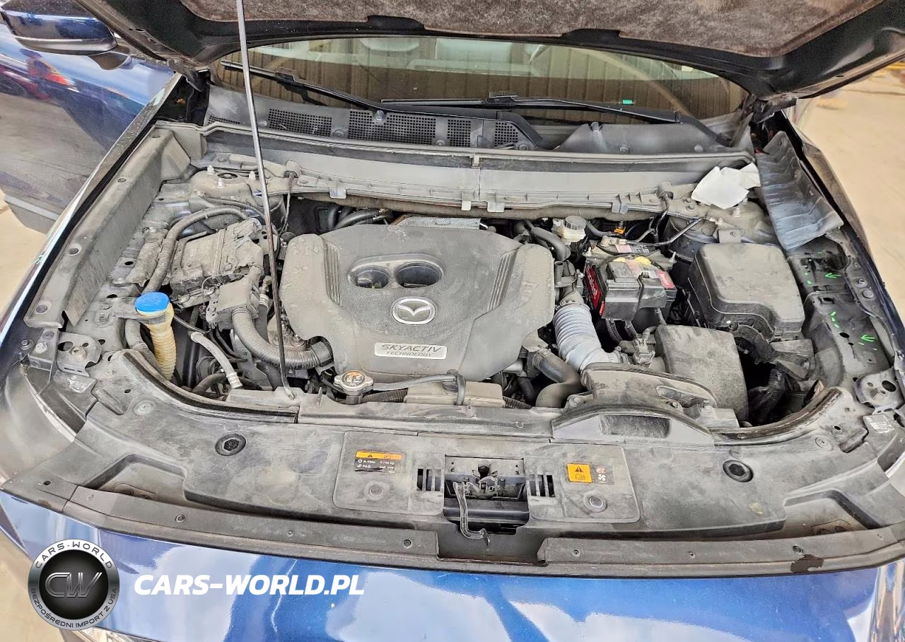 2019 Mazda Cx-9 Touring VIN:JM3TCACY1K0316948 - 12
