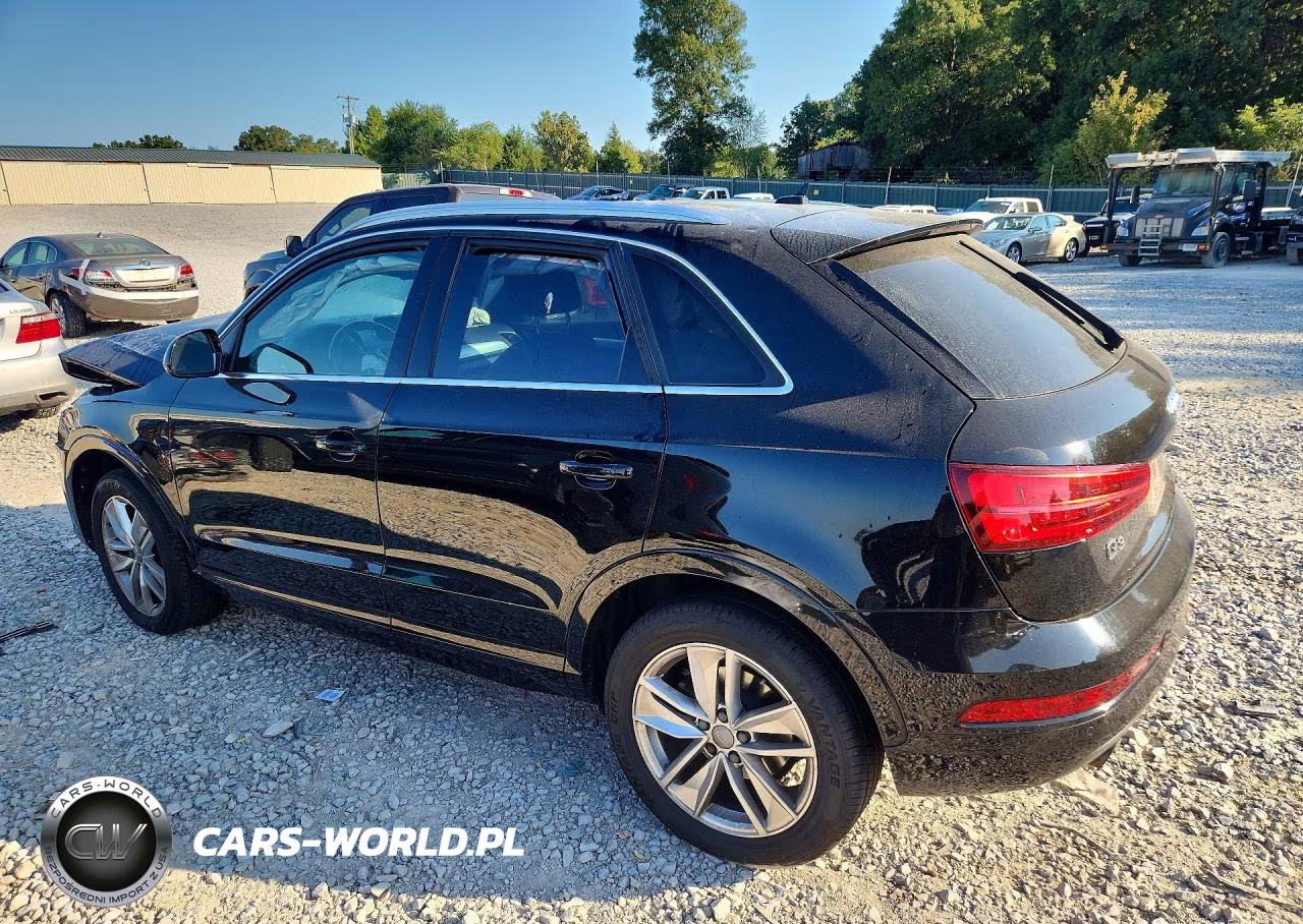 2016 Audi Q3 Premium Plus VIN:WA1EFCFSXGR004197 - 2