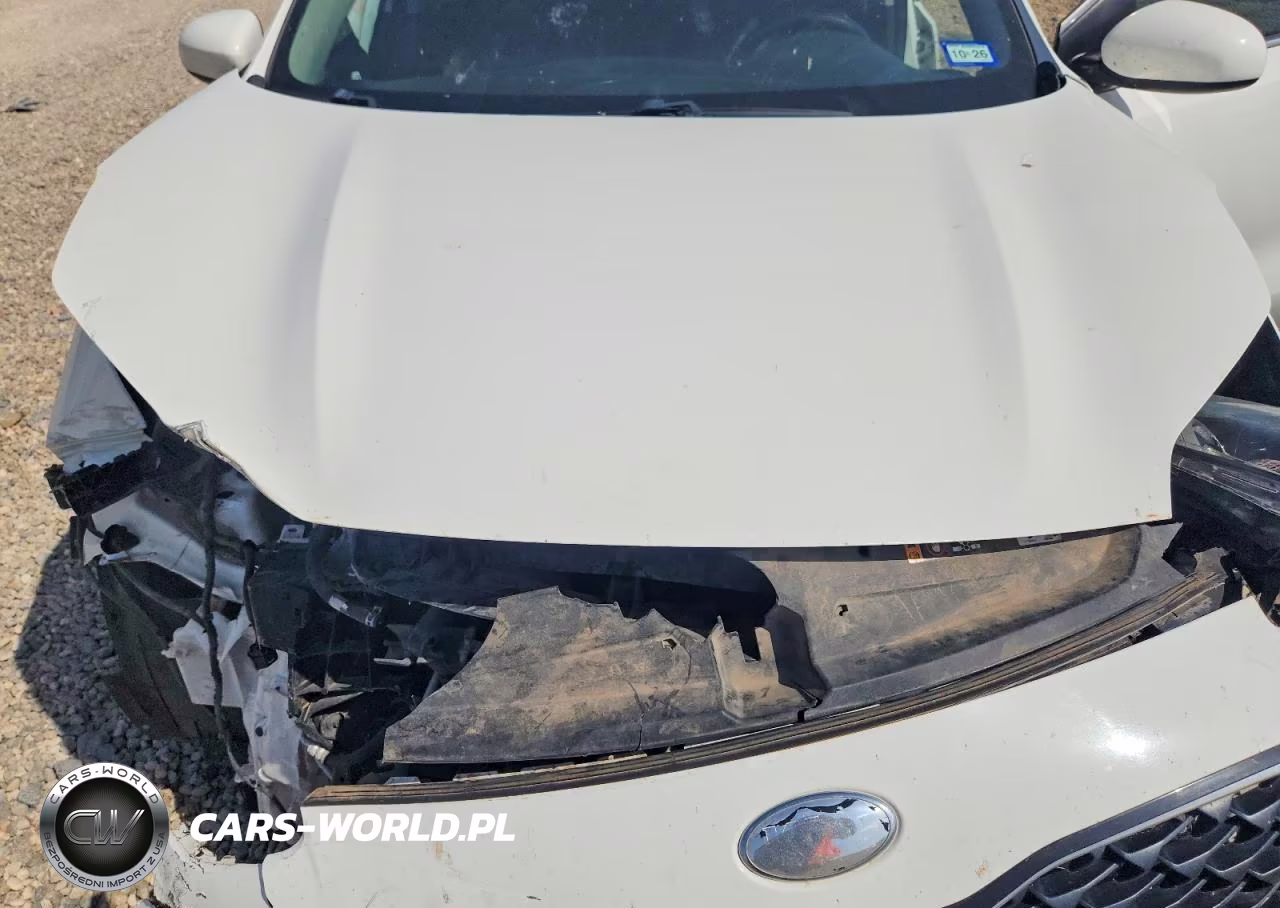 2020 Kia Sportage Lx VIN:KNDPM3AC6L7637774 - 12