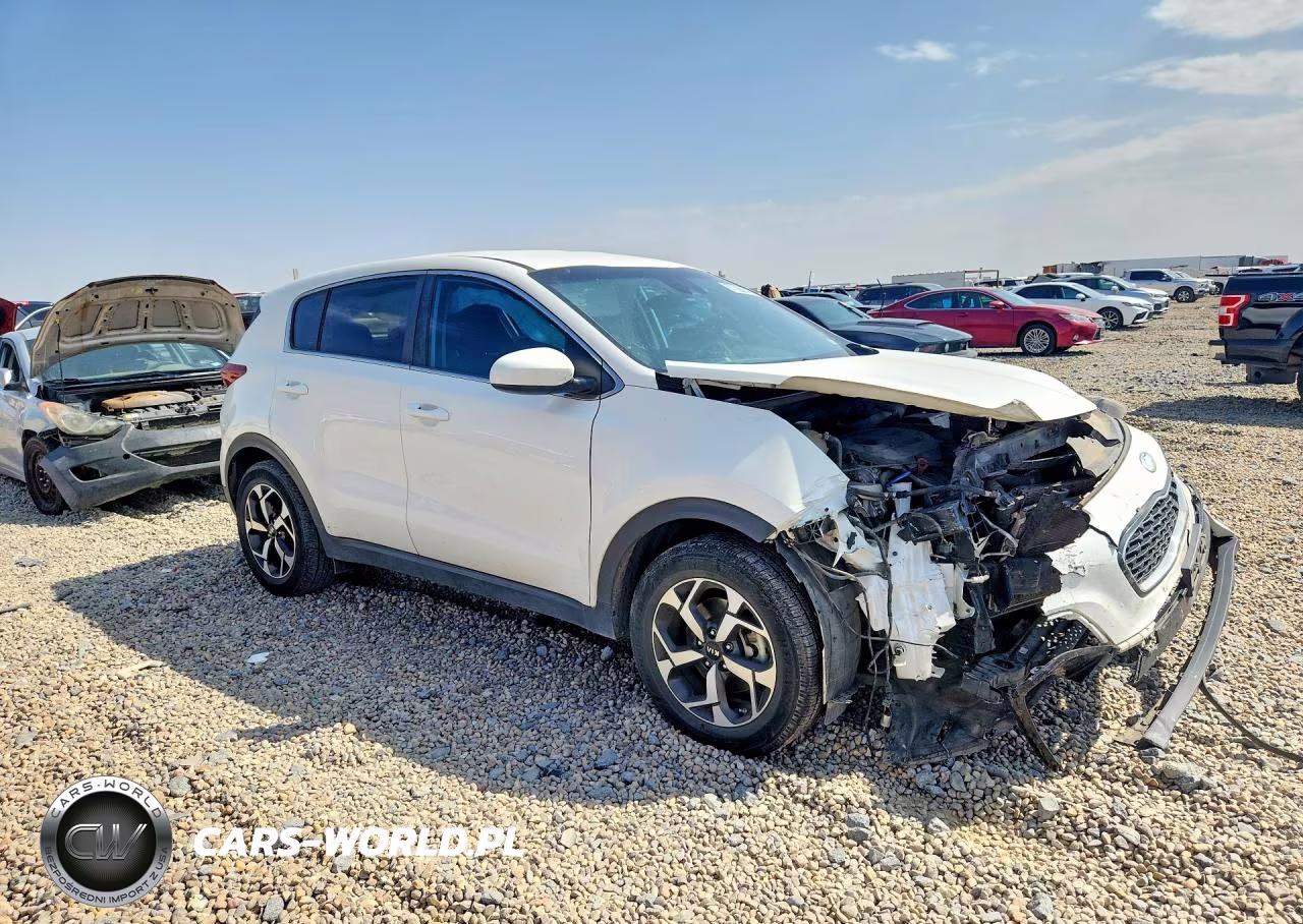 2020 Kia Sportage Lx VIN:KNDPM3AC6L7637774 - 4