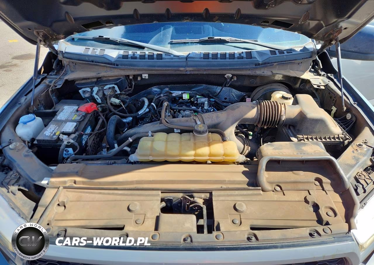 2019 Ford F150 Supercrew VIN:1FTEW1CP8KKE65653 - 11