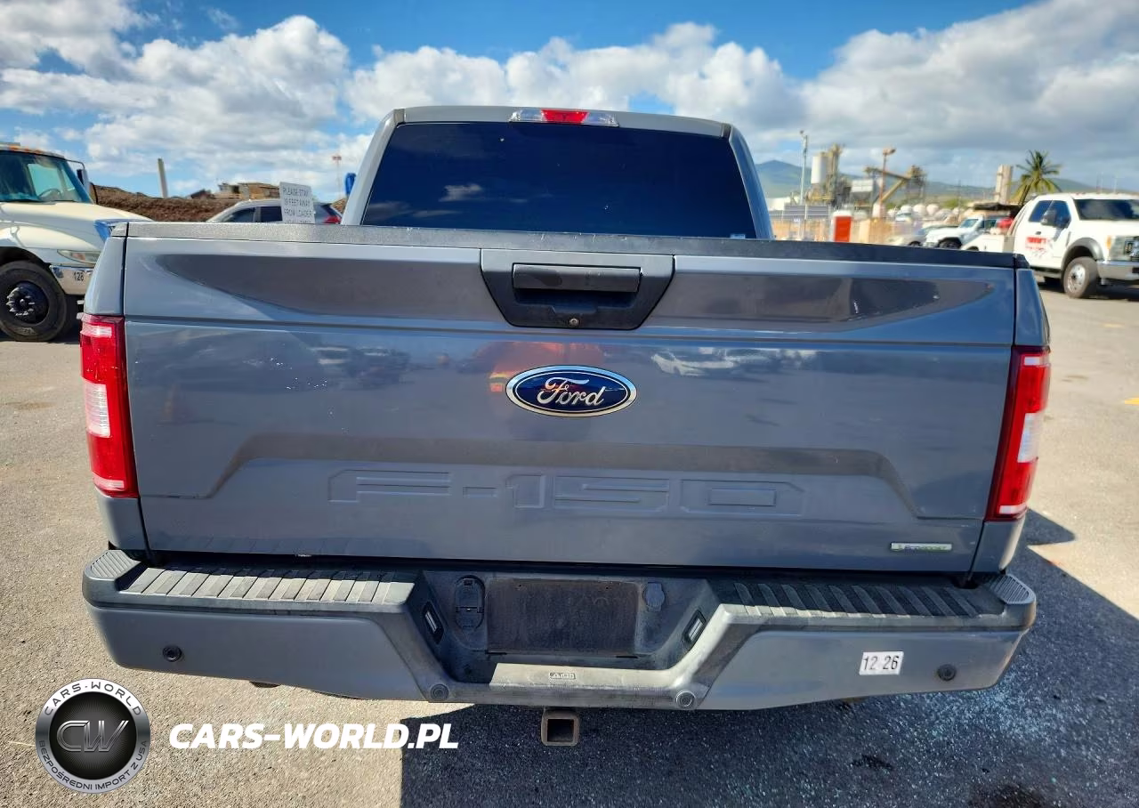 2019 Ford F150 Supercrew VIN:1FTEW1CP8KKE65653 - 6