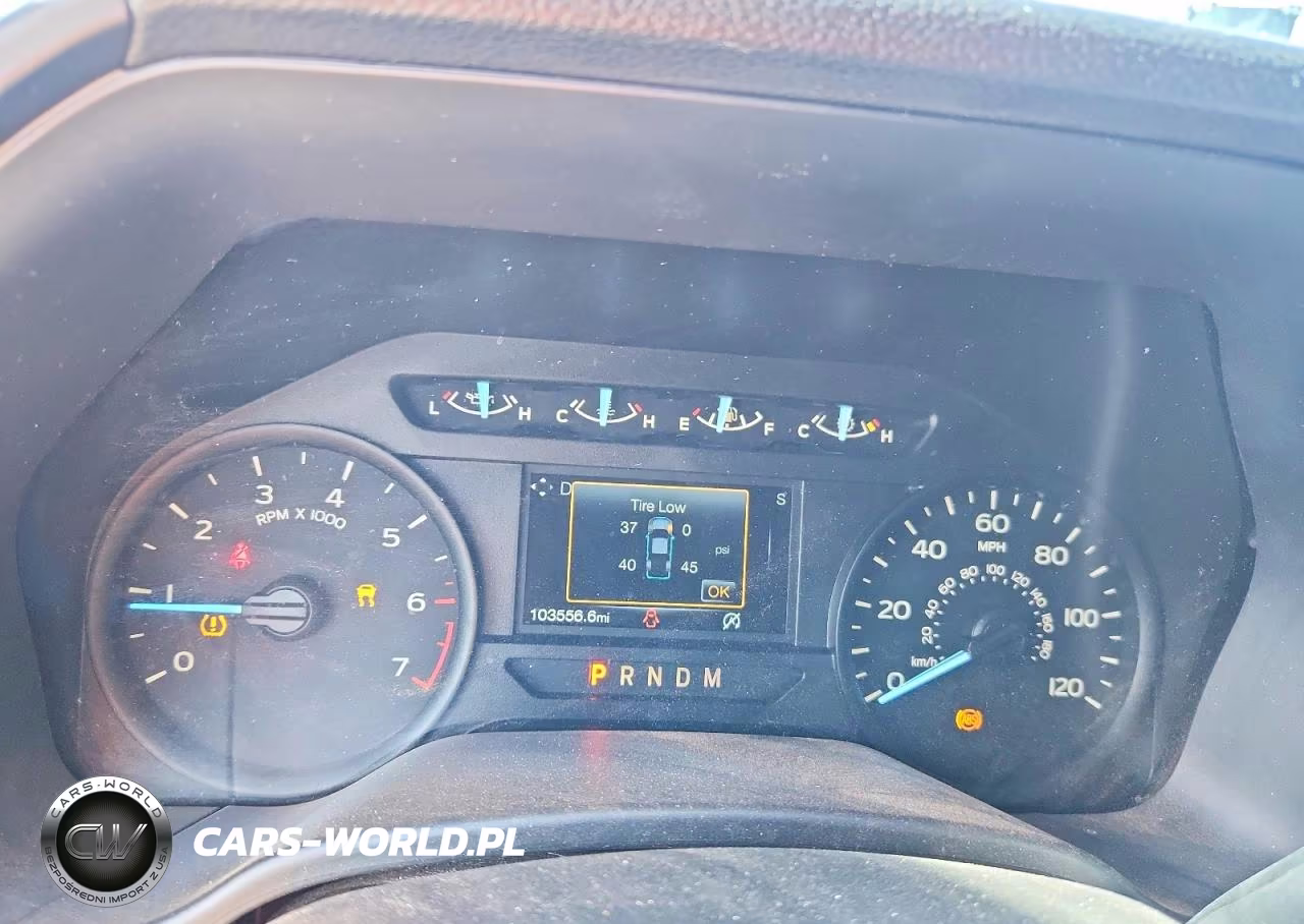 2019 Ford F150 Supercrew VIN:1FTEW1CP8KKE65653 - 9