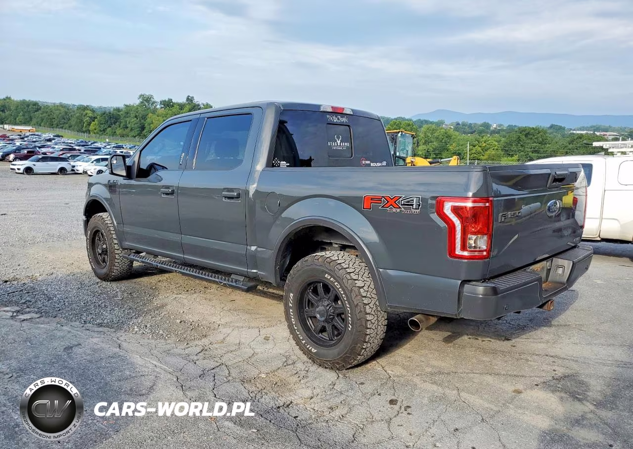 2016 Ford F150 Supercrew VIN:1FTEW1EF1GFA13502 - 2