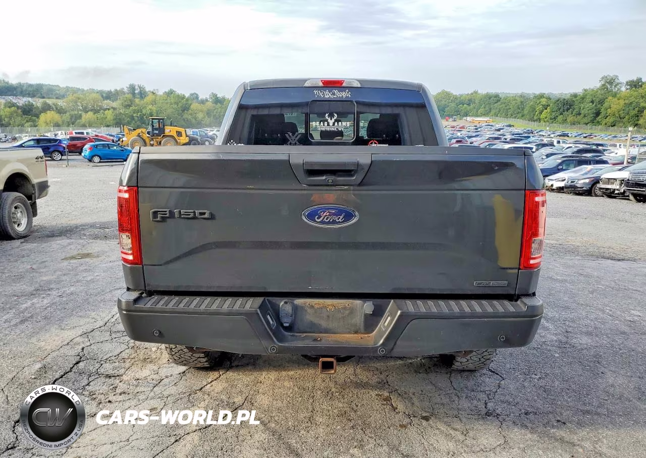 2016 Ford F150 Supercrew VIN:1FTEW1EF1GFA13502 - 6