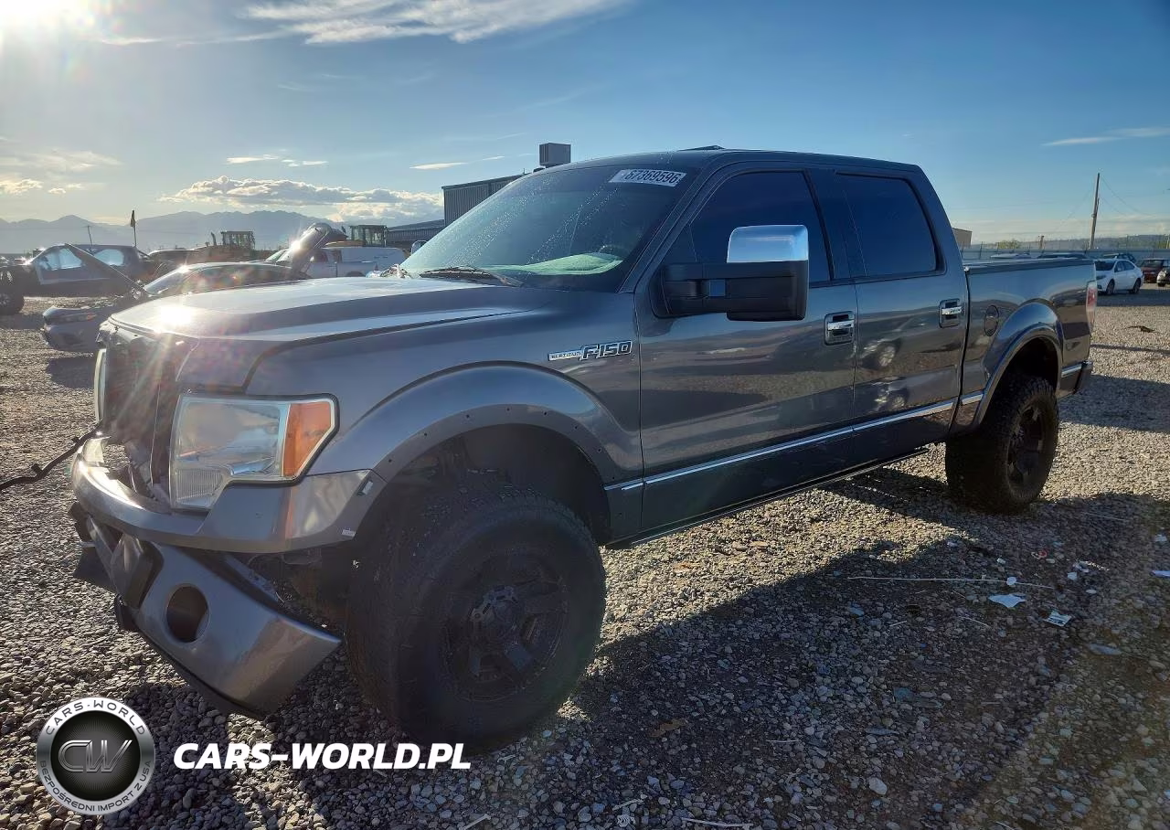 2010 Ford F150 Supercrew VIN:1FTFW1EV5AFA28216 - 1