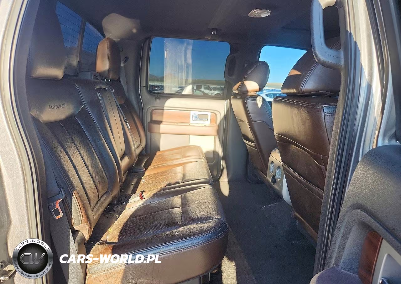 2010 Ford F150 Supercrew VIN:1FTFW1EV5AFA28216 - 10