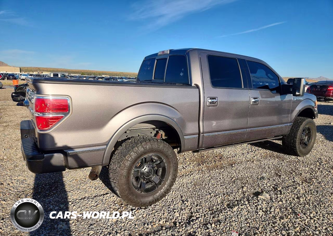 2010 Ford F150 Supercrew VIN:1FTFW1EV5AFA28216 - 3