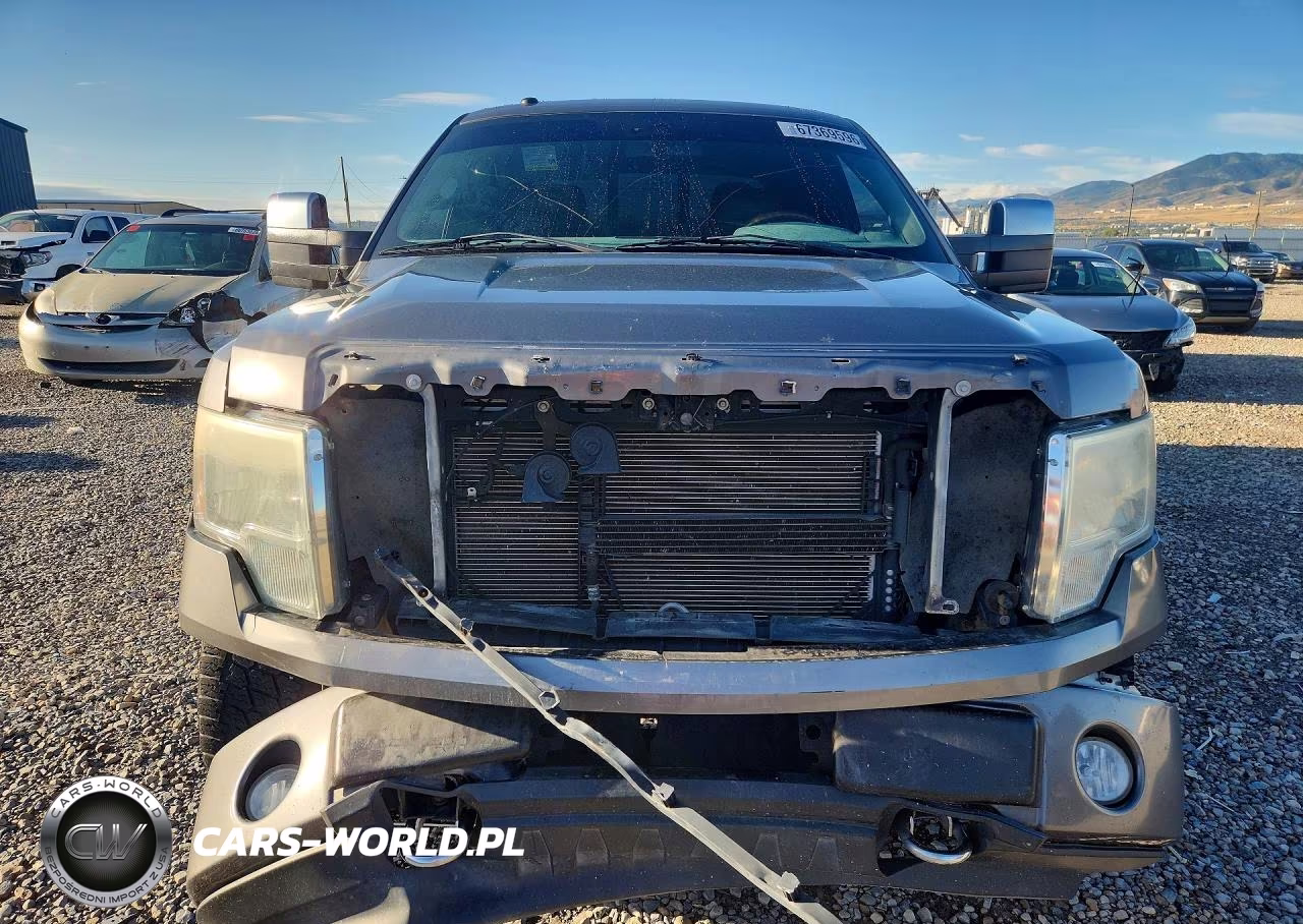 2010 Ford F150 Supercrew VIN:1FTFW1EV5AFA28216 - 5