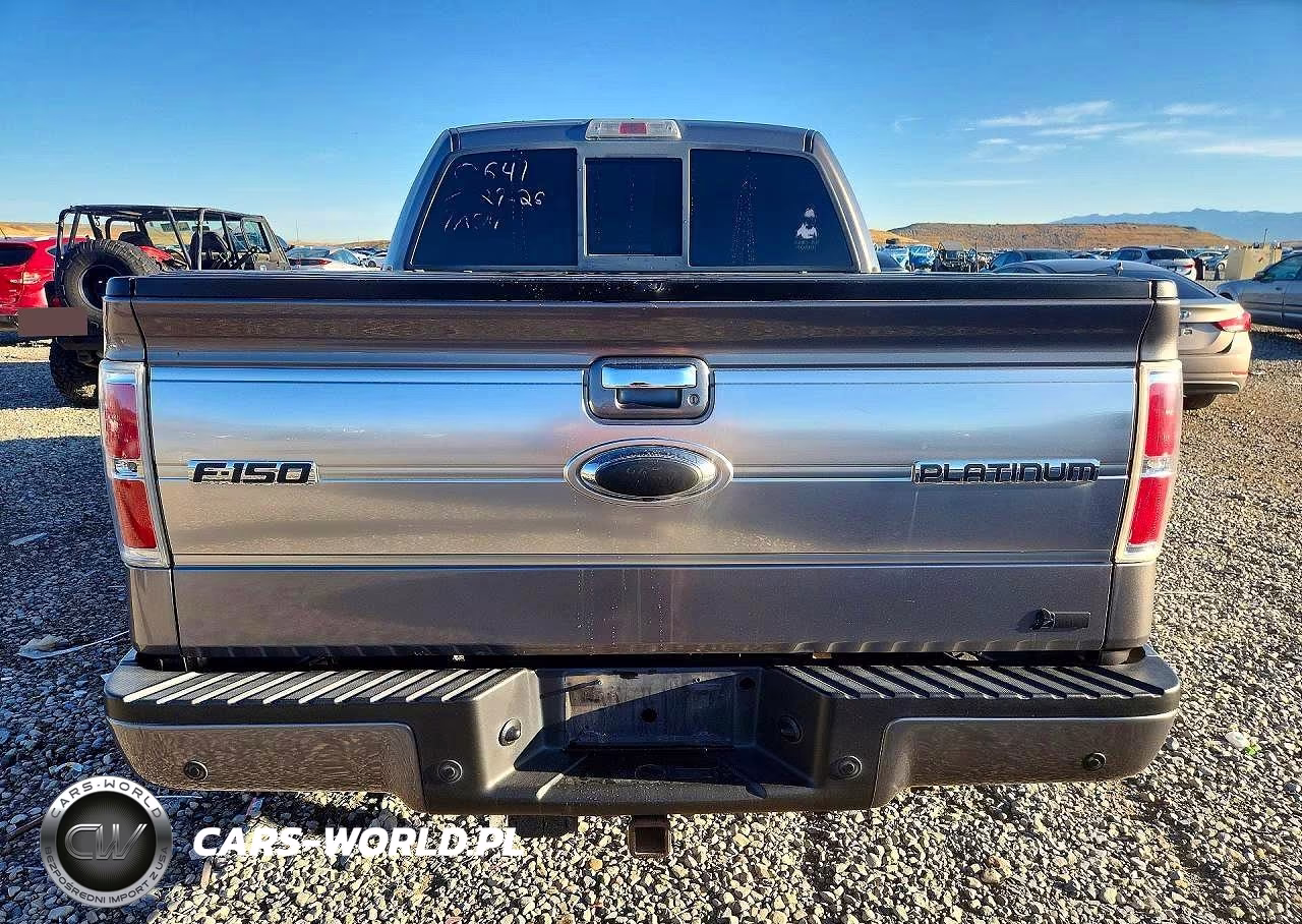 2010 Ford F150 Supercrew VIN:1FTFW1EV5AFA28216 - 6