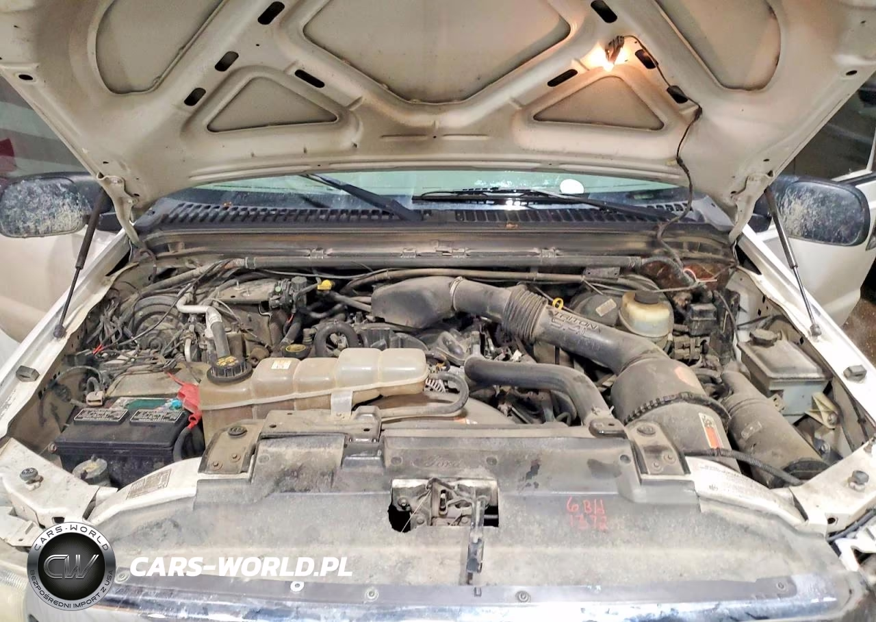 2004 Ford F250 Super Duty VIN:1FTNW21L94EA33791 - 11