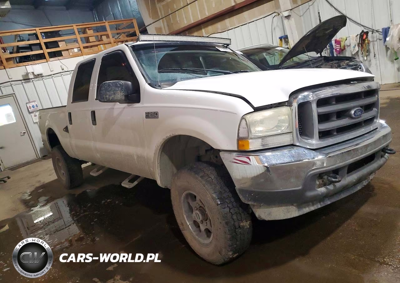 2004 Ford F250 Super Duty VIN:1FTNW21L94EA33791 - 4