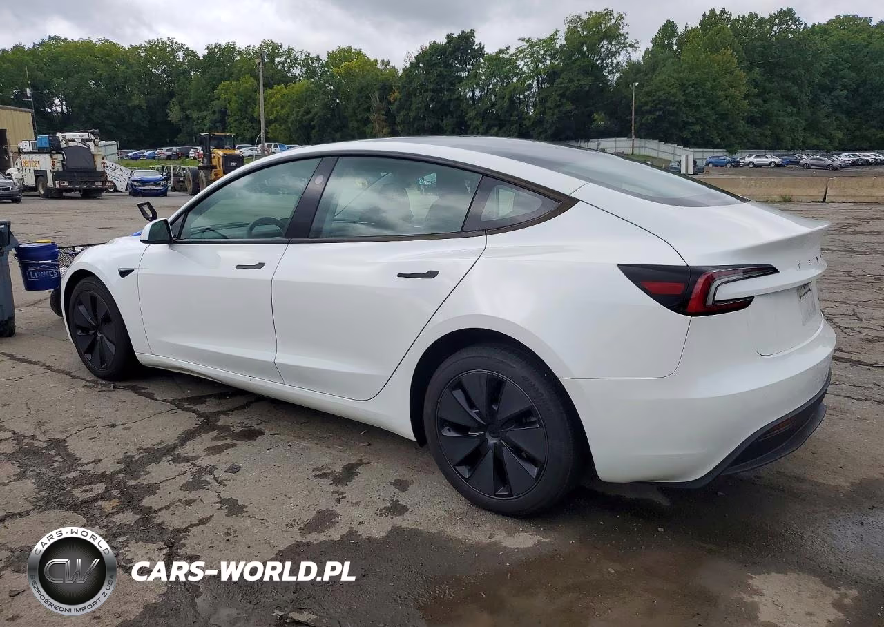 2025 Tesla Model 3 VIN:5YJ3E1EB9SF005944 - 2