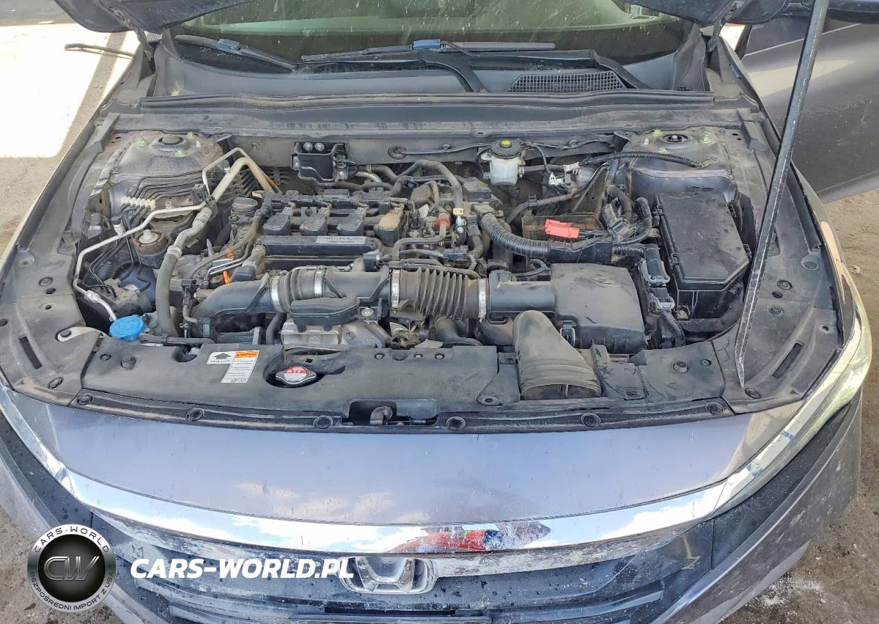 2019 Honda Accord Lx VIN:1HGCV1F11KA106024 - 11