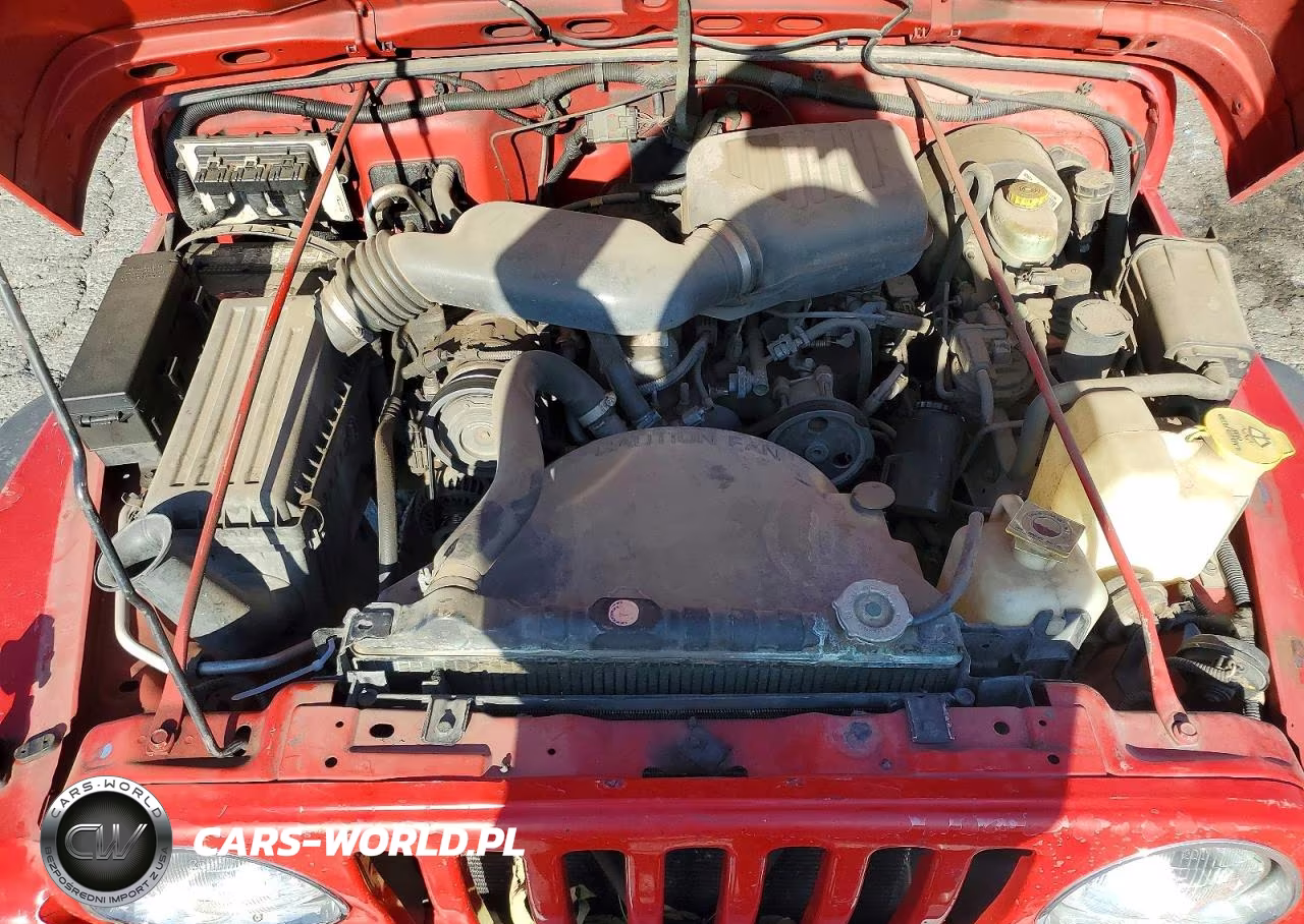 2000 Jeep Wrangler - Tj Se VIN:1J4FA29P3YP709571 - 11