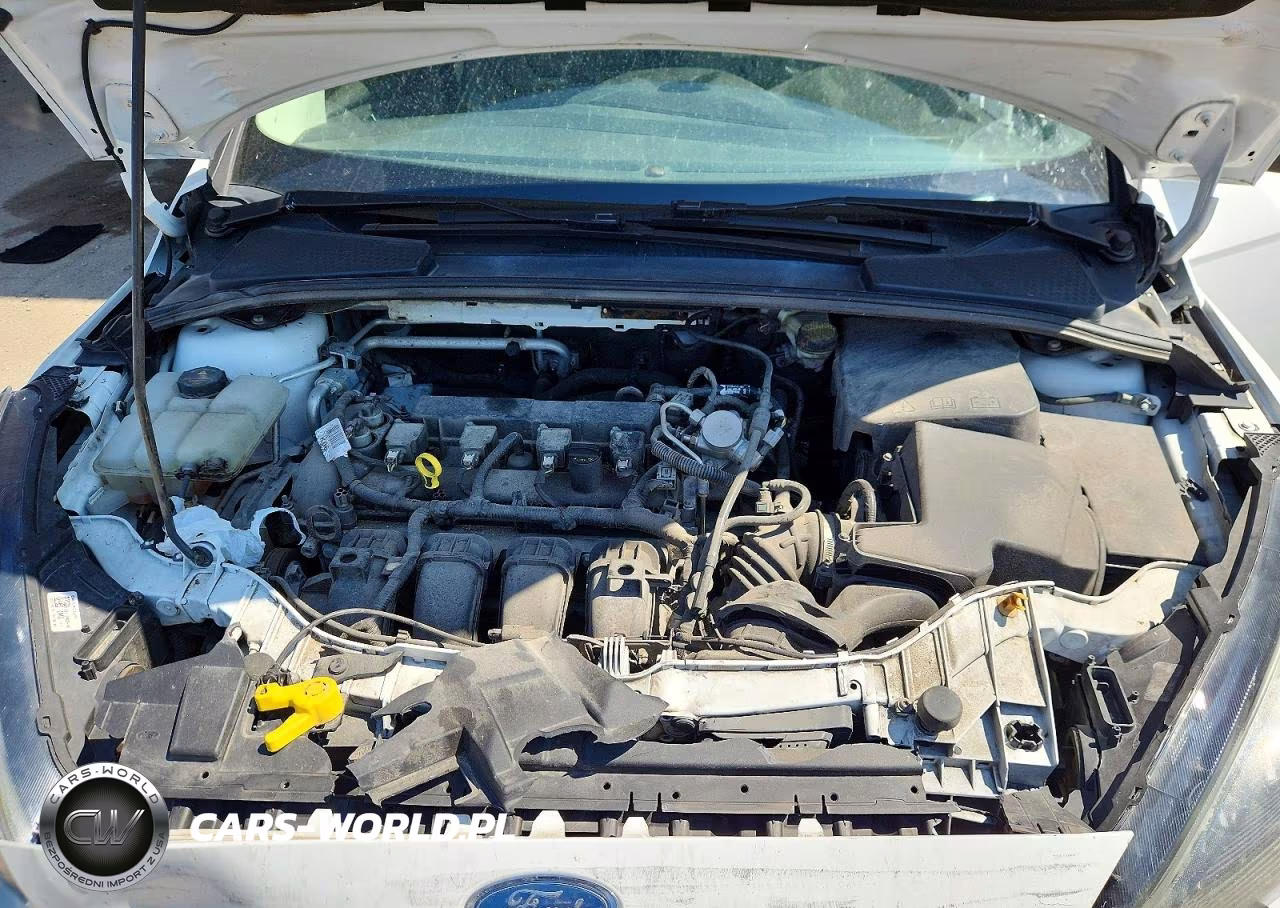 2016 Ford Focus Se VIN:1FADP3K24GL369360 - 11