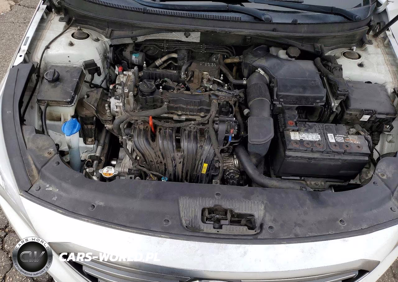 2016 Hyundai Sonata Se VIN:5NPE24AF1GH341446 - 11