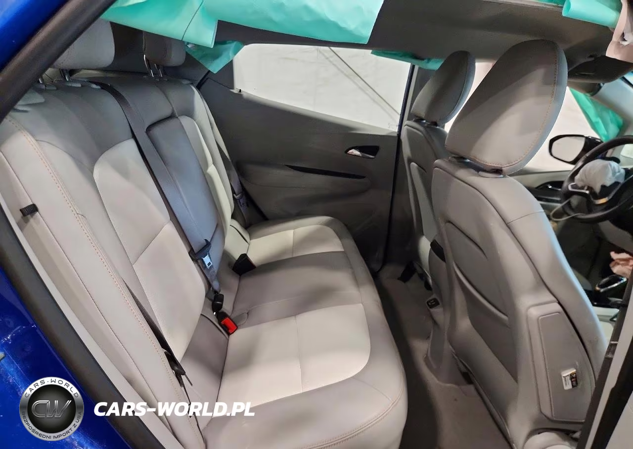 2017 Chevrolet Bolt Ev Premier VIN:1G1FX6S07H4182492 - 10