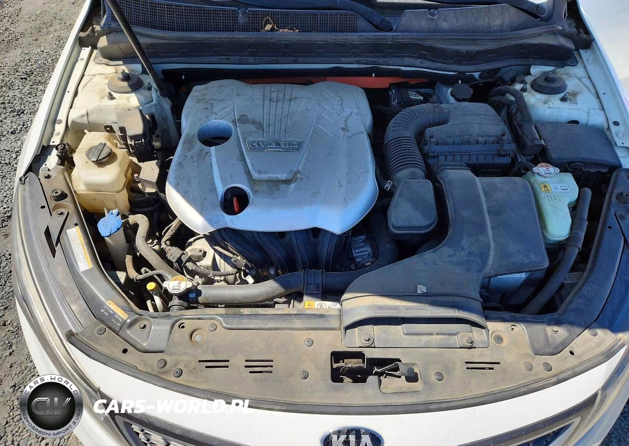 2015 Kia Optima Hybrid VIN:KNAGM4AD4F5079449 - 11