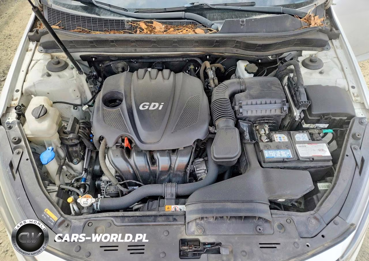 2015 Kia Optima Lx VIN:KNAGM4A72F5664153 - 11
