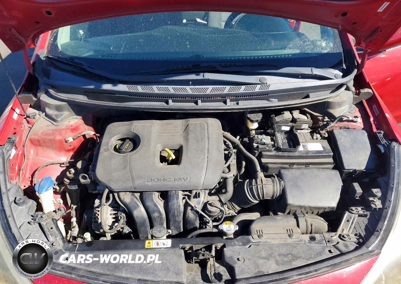 2014 Kia Forte Ex VIN:KNAFX4A84E5206608 - 11