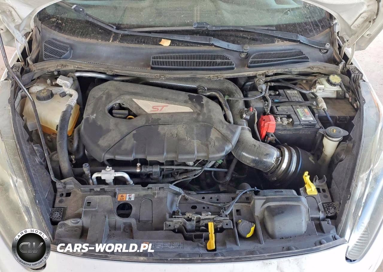 2014 Ford Fiesta St VIN:3FADP4GX5EM235415 - 11