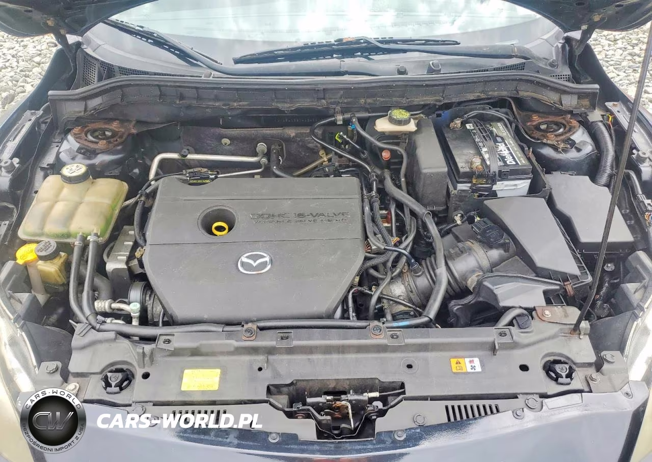 2010 Mazda 3 I VIN:JM1BL1SGXA1246209 - 11
