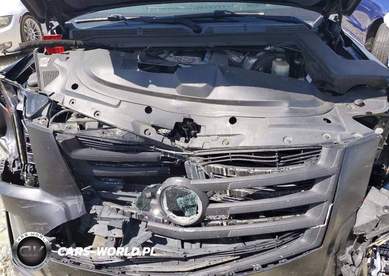 2015 Cadillac Escalade Premium VIN:1GYS3CKJ5FR144231 - 12