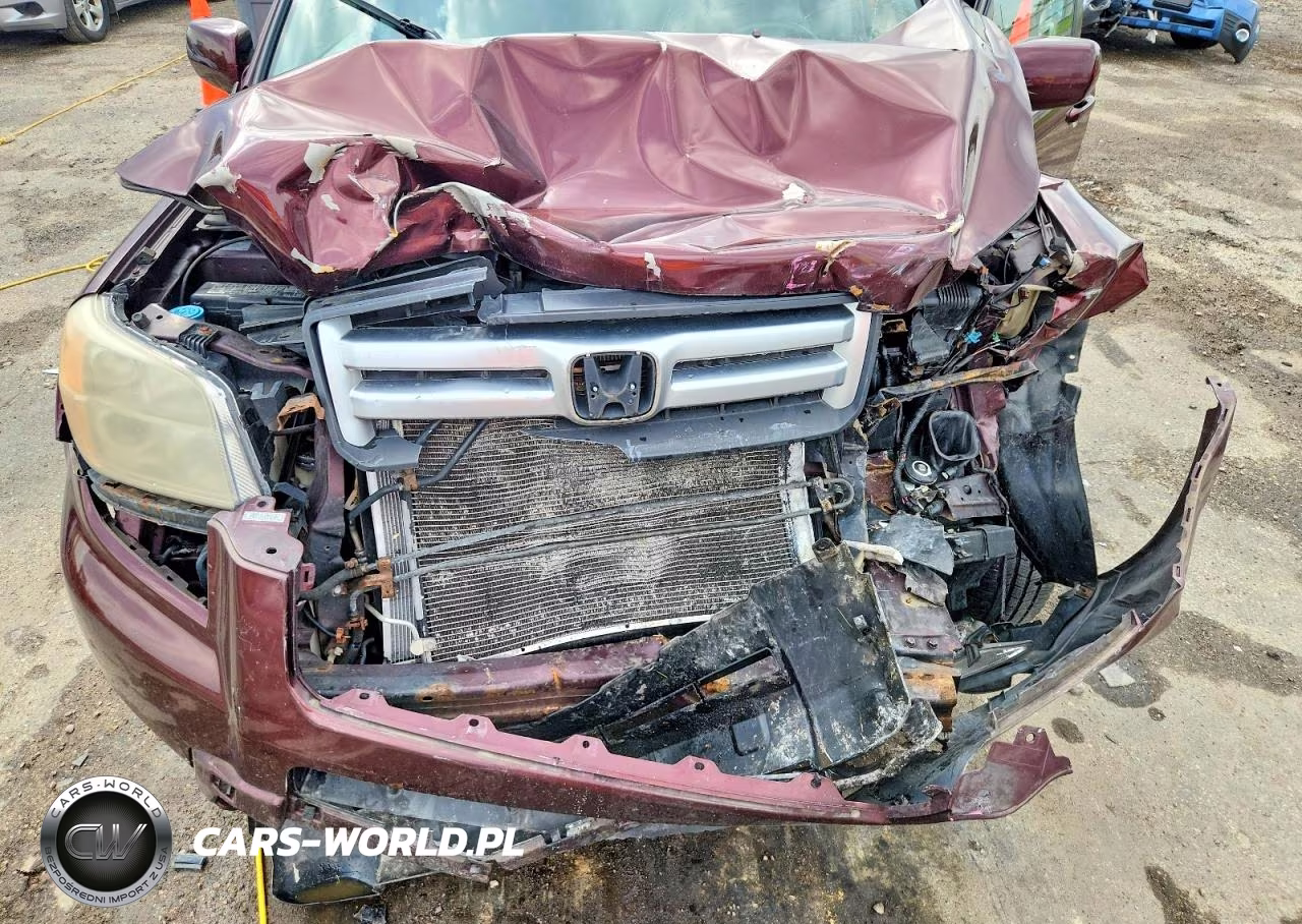 2007 Honda Pilot Exl VIN:5FNYF18547B025891 - 12