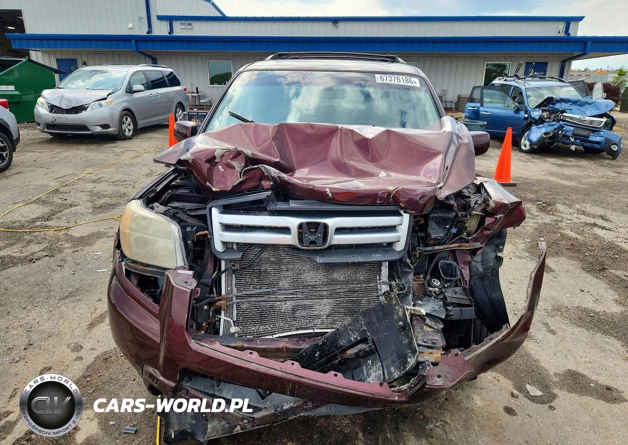 2007 Honda Pilot Exl VIN:5FNYF18547B025891 - 5