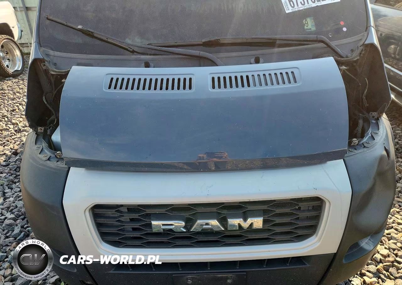 2019 Ram Promaster 2500 Delivery Van VIN:3C6TRVDG9KE516902 - 12