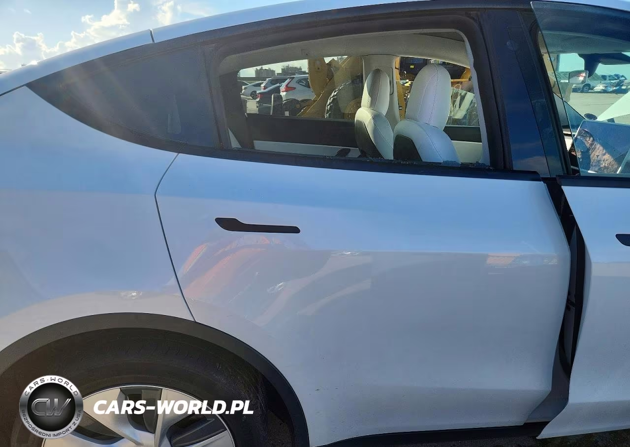 2020 Tesla Model Y VIN:5YJYGDEE6LF043015 - 10