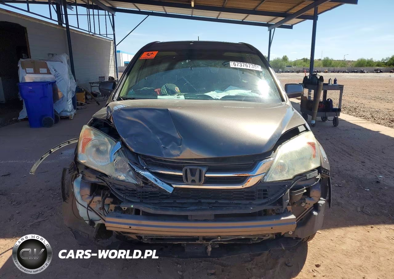 2010 Honda Cr-V Exl VIN:5J6RE4H73AL099618 - 5