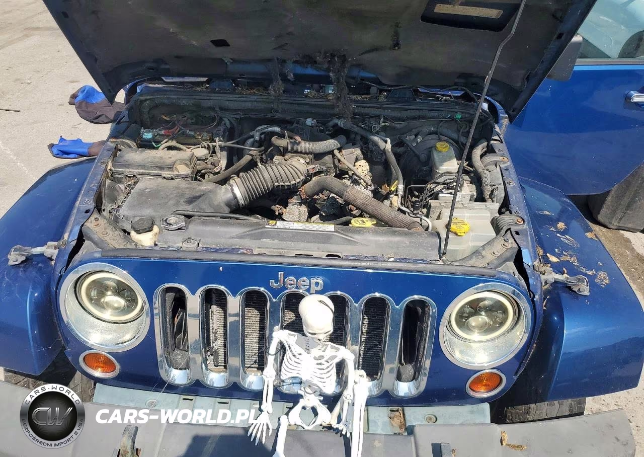 2010 Jeep Wrangler Unlimited Sahara VIN:1J4BA5H17AL116130 - 12