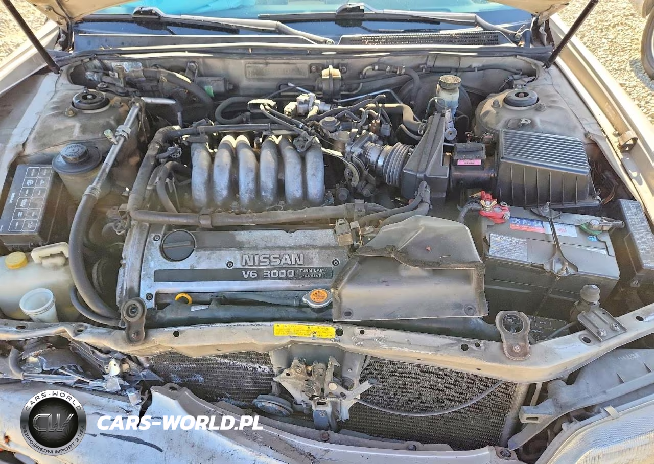 1996 Nissan Maxima Gxe VIN:JN1CA21D8TM418412 - 11