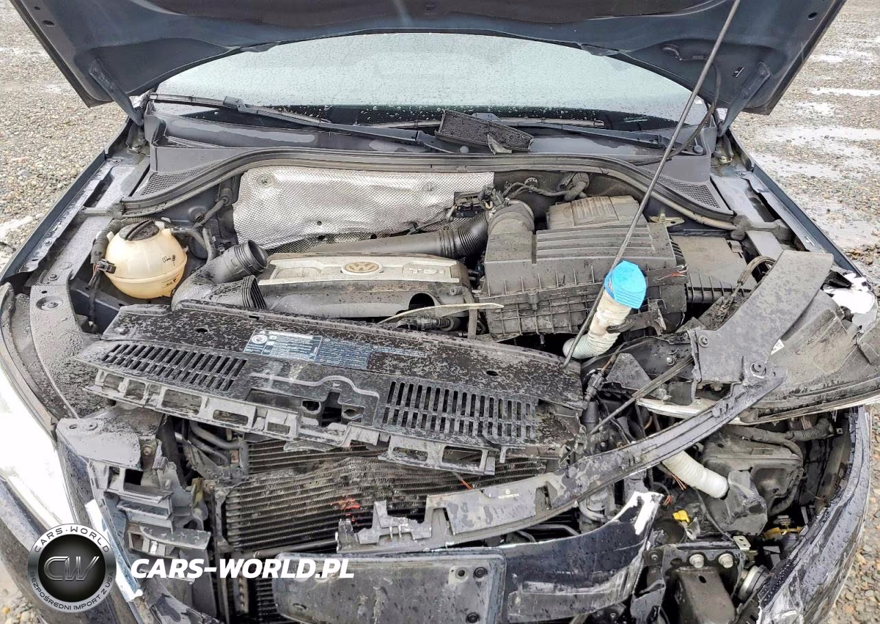 2009 Volkswagen Tiguan Se VIN:WVGBV75N29W513845 - 12