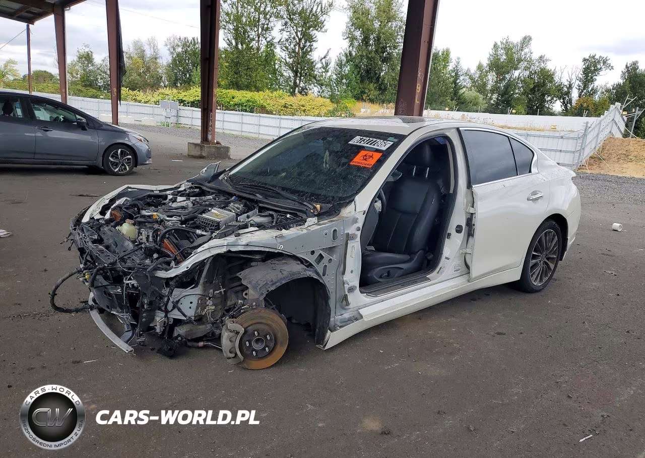 2019 Infiniti Q50 3.0T Luxe VIN:JN1EV7AP5KM542804 - 1
