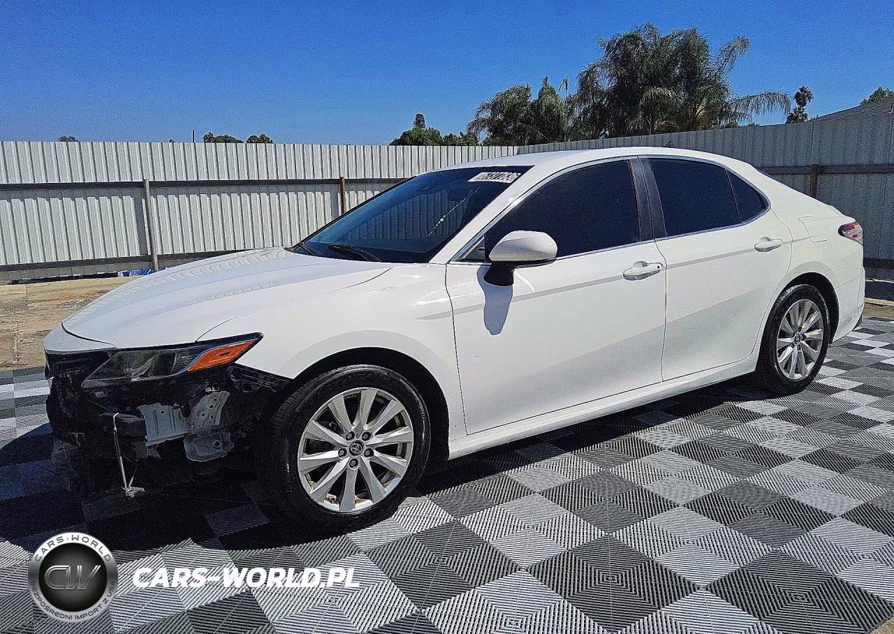 2019 Toyota Camry Le VIN:4T1B11HK3KU263107 - 1