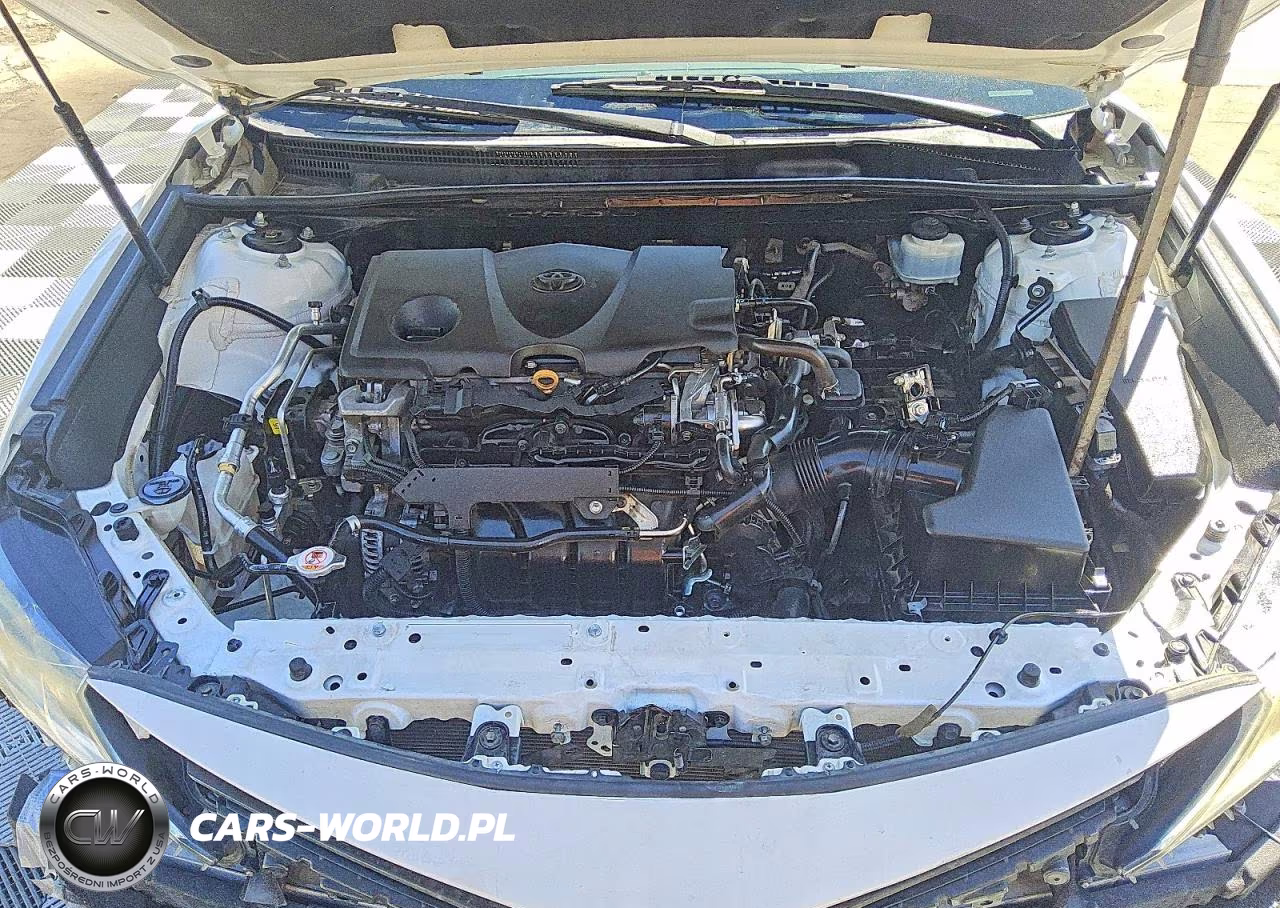 2019 Toyota Camry Le VIN:4T1B11HK3KU263107 - 11